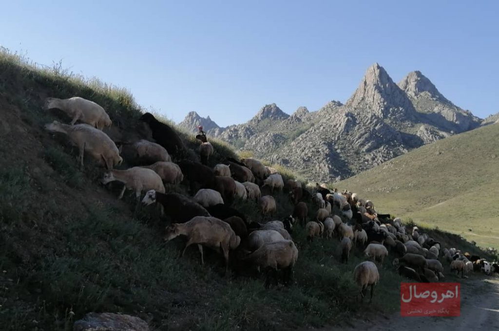 گزارش تصویری از: طبیعت بهاری ارتفاعات شیور اهر