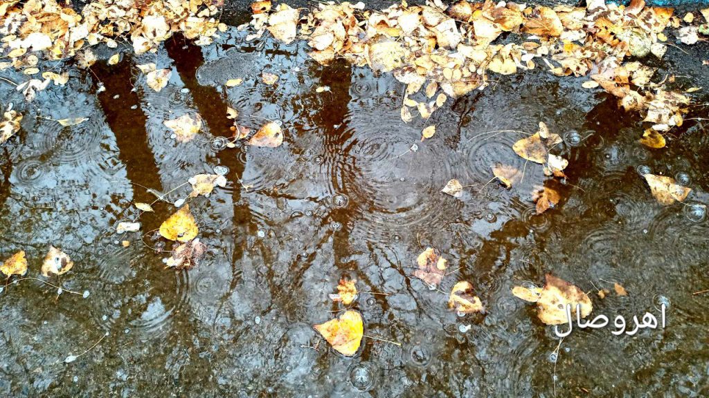 گزارش تصویری از:  طبیعت برفی و بارانی اهر در دومین ماه از فصل پاییز