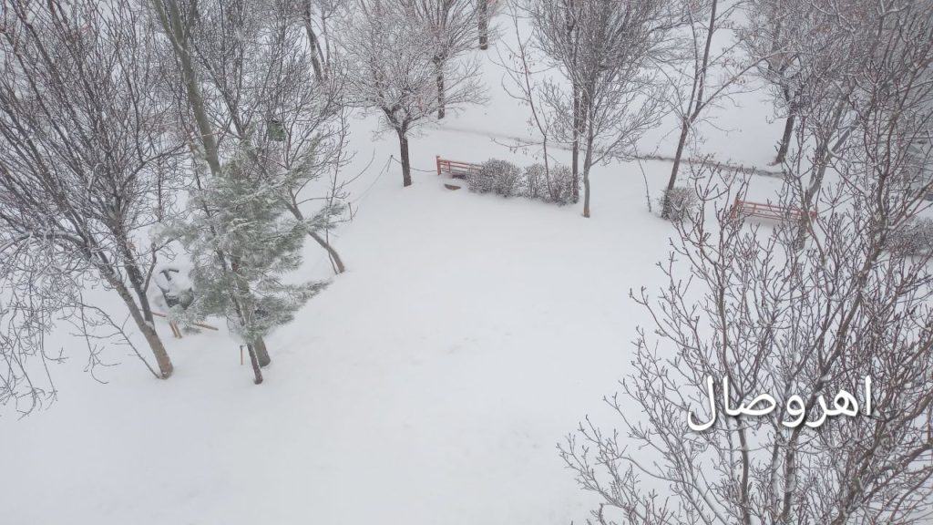 گزارش تصویری از: بارش زیبای برف در اهر