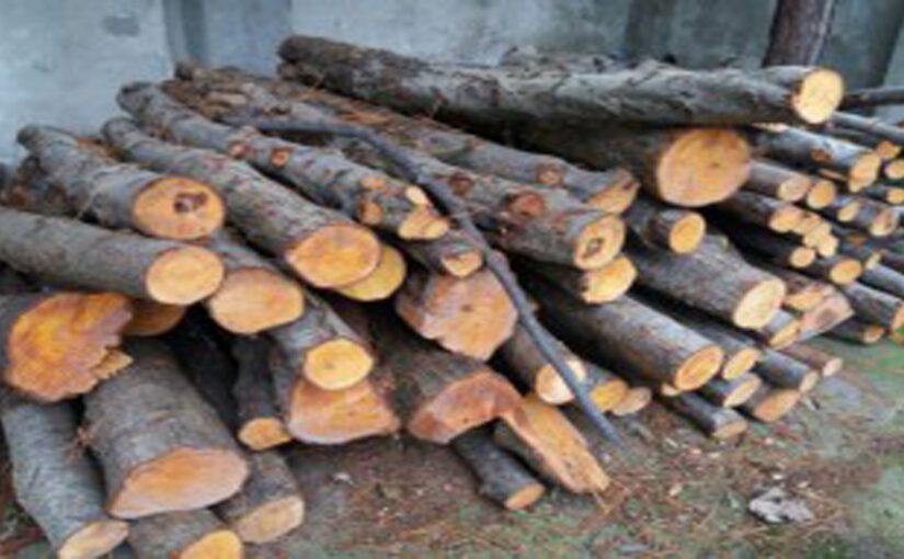 توقیف محموله غیر مجاز چوب آلات جنگلی در اهر