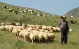 یازدهم مردادماه؛ آخرین مهلت تعیین جایگزین مرتعدار متوفی در آذربایجان شرقی