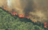 سهل انگاری گردشگران موجب آتش سوزی در منطقه حفاظت شده دیزمار شد