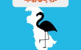 نکاتی مهم و خواندنی پیرامون کمپین احیای دریاچه ارومیه 