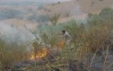مهار میدانی آتش توسط نیروهای واکنش سریع منطقه حفاظت شده ارسباران