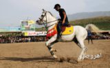 گزارش تصویری از: برگزاری نخستین دوره جشنواره کشوری شو سواره با حضور بیش از ۶۰ اسب سوار از سراسر کشور در اهر